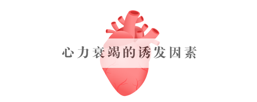 11.25心力衰竭诱因.png
